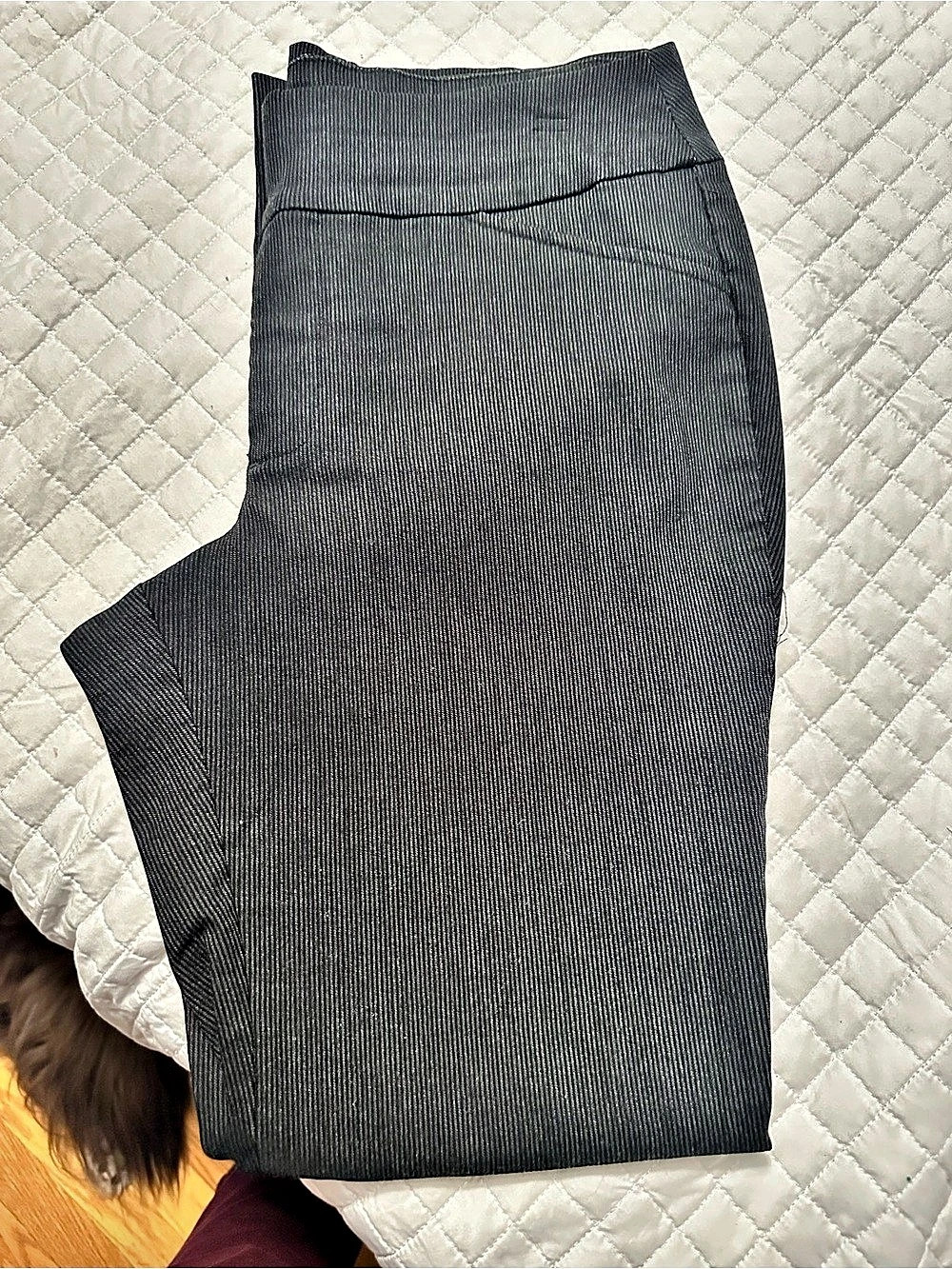 Christopher & Banks Women's Straight-Leg Pants in Black